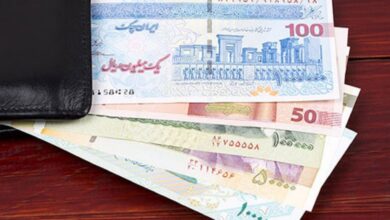 واریزی جدید وزارت کار برای حداقل بگیران و حقوق بگیران | پرداخت وام ویژه ۱۰۰ میلیون تومانی به بیمه شدگان تامین اجتماعی