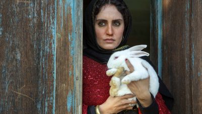 داستان فیلم تی تی