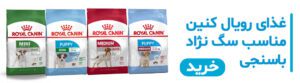 خرید غذای رویال کنبن برای سگ نژاد باسنجی