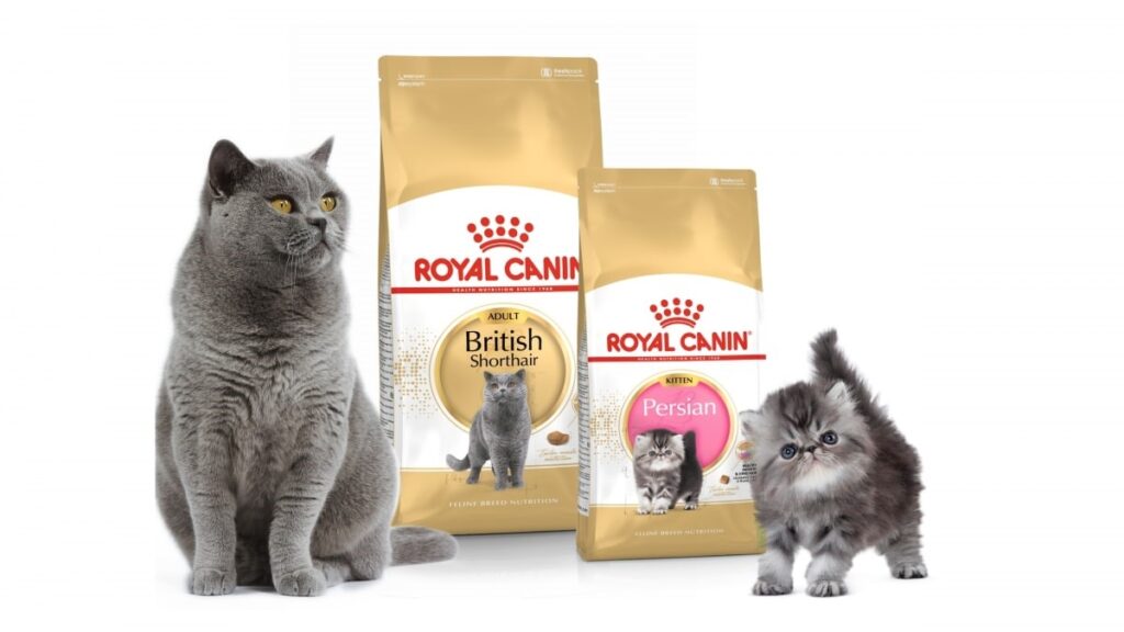 غذای مادر و بچه رویال کنین