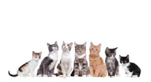 لیست بیماری های رایج + راه درمان