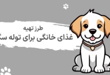 طرز تهیه غذای خانگی برای توله سگ