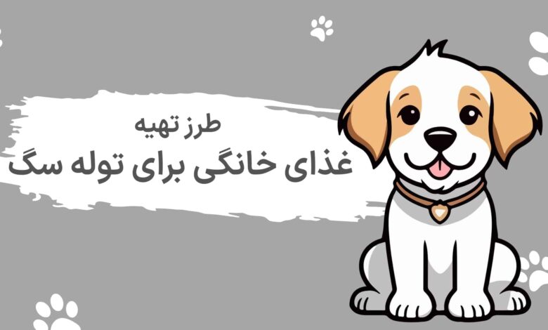 طرز تهیه غذای خانگی برای توله سگ
