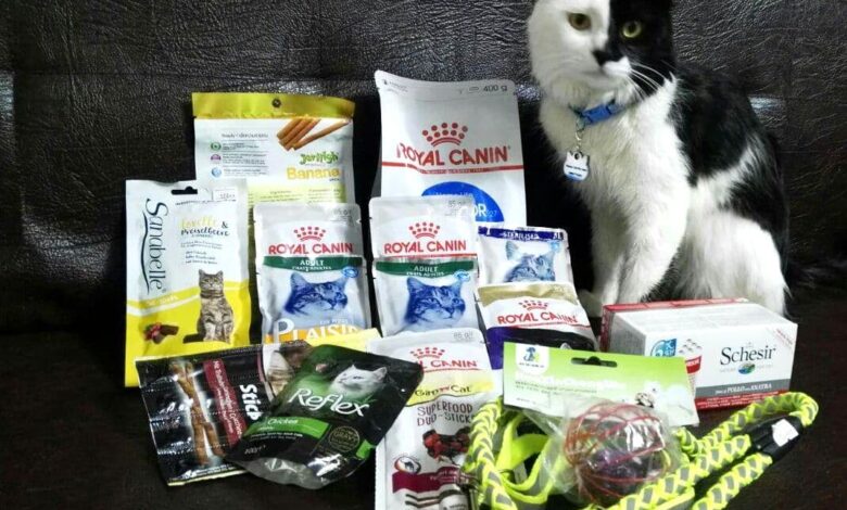 10 نوع غذای گربه رویال کنین