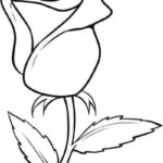 نمونه های عالی از نقاشی گل11