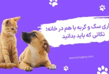 نگهداری سگ و گربه