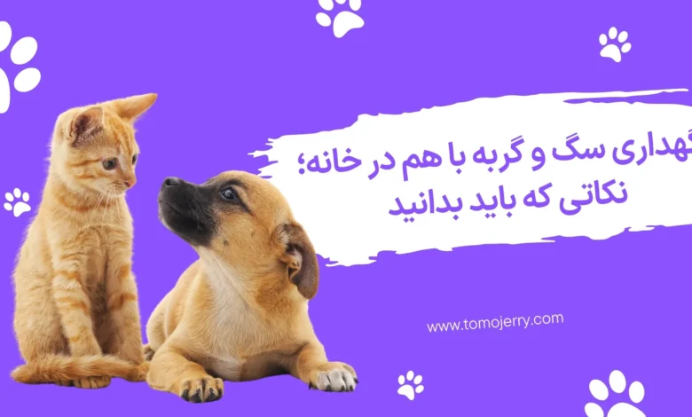 نگهداری سگ و گربه
