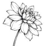 نمونه های عالی از نقاشی گل13