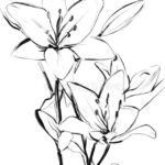 نمونه های عالی از نقاشی گل14