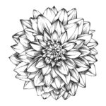 نمونه های عالی از نقاشی گل15