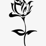 نمونه های عالی از نقاشی گل17