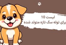 لیست 10 غذای برای توله سگ تازه متولد شده