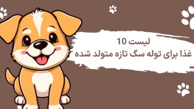 لیست 10 غذای برای توله سگ تازه متولد شده