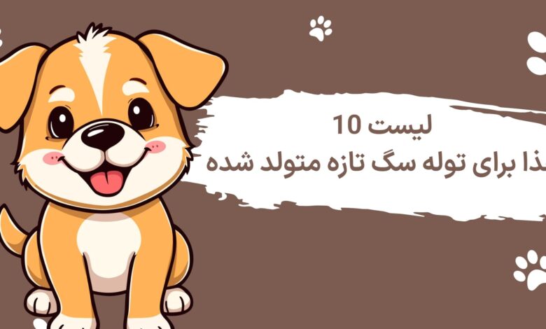 لیست 10 غذای برای توله سگ تازه متولد شده