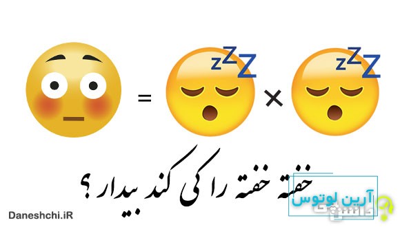 ضرب المثل خفته خفته را کی کند بیدار