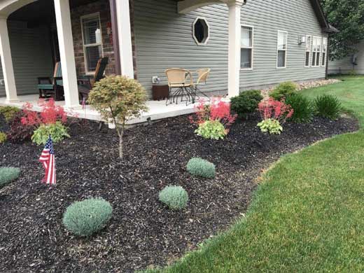 تاکید و تنوع