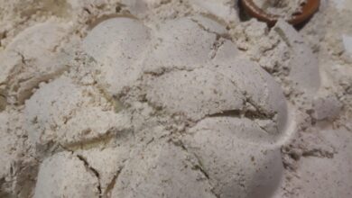 خرید و فروش انواع آرد