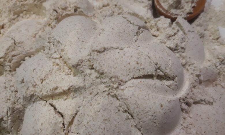 خرید و فروش انواع آرد