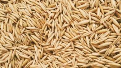 حو دو سر و تاثیر آن بر سلامت قلب، کاهش وزن و سلامت پوست و مو