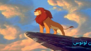 موسیقی انیمیشن شیرشاه