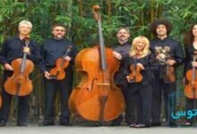 معرفی سازهای خانواده ویولن