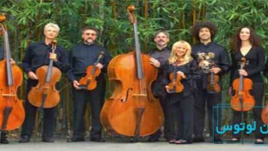 معرفی سازهای خانواده ویولن