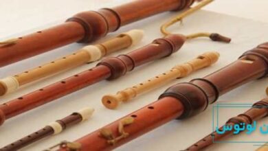 ۵ تفاوت فلوت و ریکوردر!