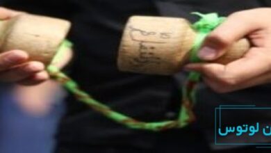 معرفی ساز کرب