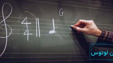 آیا یادگیری تئوری موسیقی برای تمام نوازندگان واجب است؟