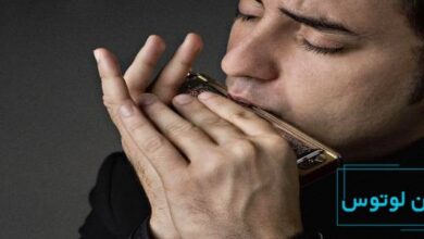 همه‌چیز درباره یادگیری ساز دهنی!