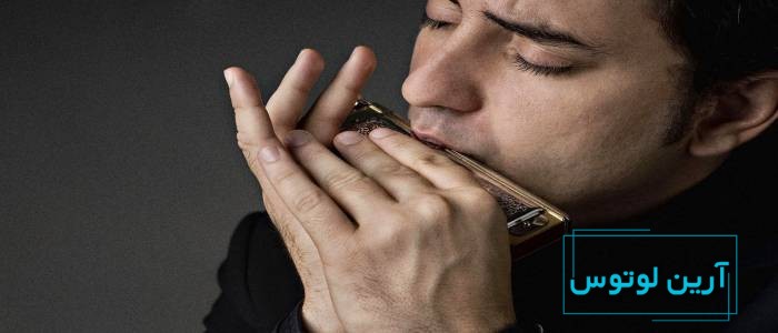 همه‌چیز درباره یادگیری ساز دهنی!