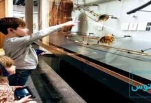 آشنایی با بهترین موزه های موسیقی جهان