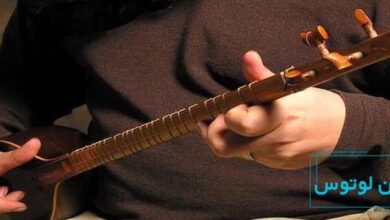 یادگیری سه تار چقدر طول میکشد؟