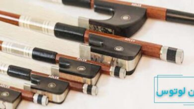 آرشه هشت ضلعی یا هشت پر چیست