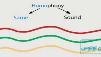 هموفونی در موسیقی چیست؟