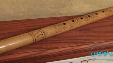 فلوت سولینگ چیست؟