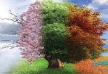 معرفی چهار فصل ویوالدی