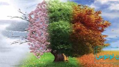 معرفی چهار فصل ویوالدی