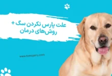 علت پارس نکردن سگ