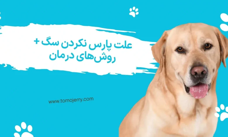 علت پارس نکردن سگ