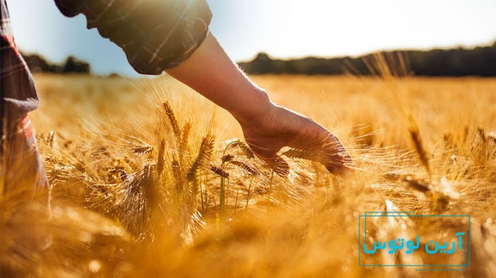 مثلث برکت در فنگ شویی