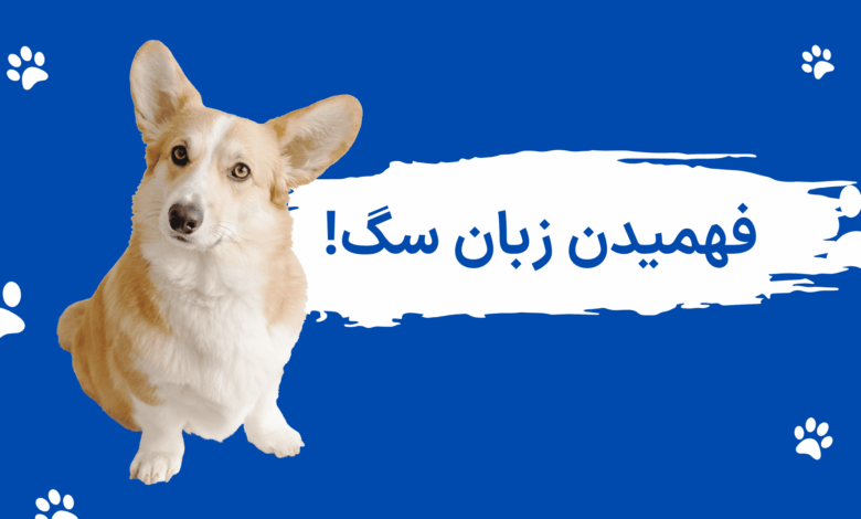 فهمیدن زبان بدن سگ