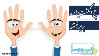 پنج انگشت برادرند، برابر نیستند