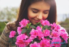 عکس گل خوشبختی و انرژی مثبت