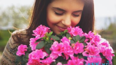 عکس گل خوشبختی و انرژی مثبت