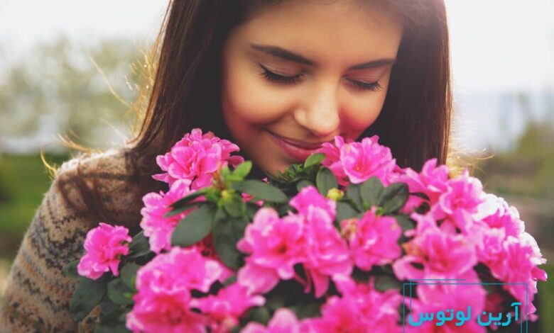 عکس گل خوشبختی و انرژی مثبت