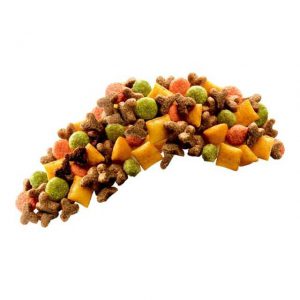 غذای خشک گربه