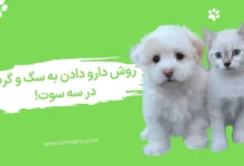 دارو دادن به سگ و گربه