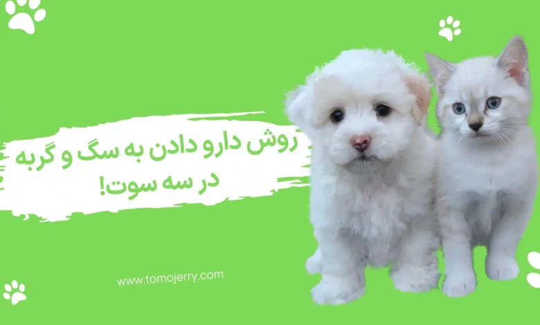 دارو دادن به سگ و گربه