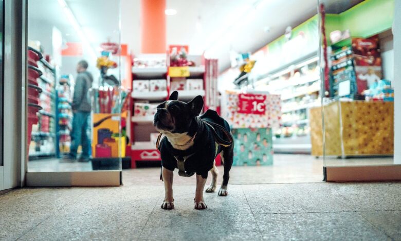 پت شاپ چیست